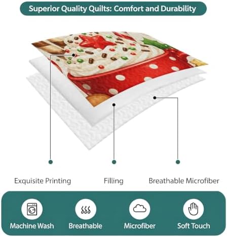 Merry Christmas Quilt Set Twin Size 3 Pieces Quilted Bedspread Soft
