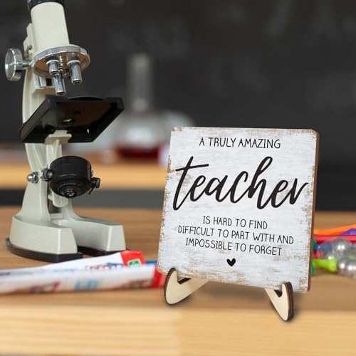 Decorative Desk Decor Motivational Teacher Positive Thank You Gifts