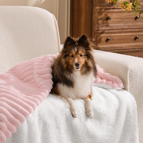 INFIIXSO Striped Sherpa Throw Blanket for Couch, Warm Plush, Pink