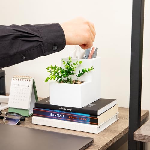 Mind Reader Ceramic Desktop Planter Pencil Cup, Desk Organizer with