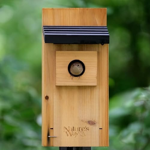 Nature’s Way Cedar Bluebird House for Outdoor Nesting, Predator Guard