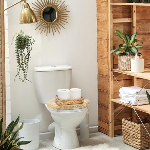 Eorbow 3 Packs Wicker Storage Trays, 10" Rattan Vanity Trays