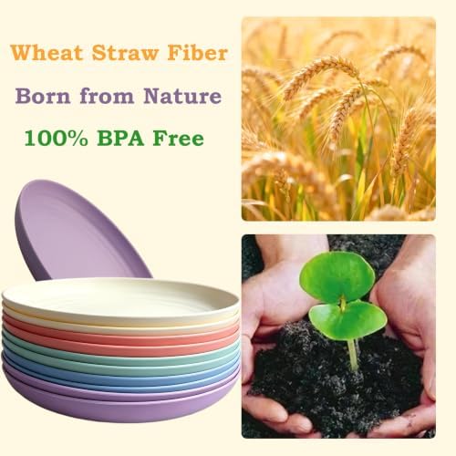 Plastic Plates Reusable, 9 IN Wheat Straw Plates, Deep Dinner Plates
