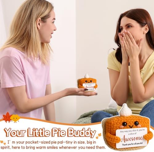Crochet Pumpkin Pie – Fall Decor Handmade Knitted Mini Thank You Gift
