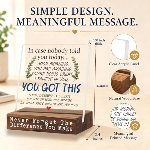 You Got This Desk Sign, Encouragement Gift for Women, Inspirational