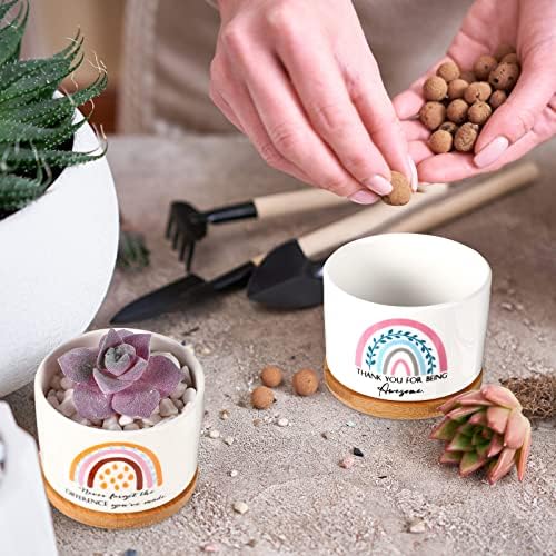 Sieral 6 Pcs Staff Appreciation Gifts Bulk Ceramic Pot for Coworkers
