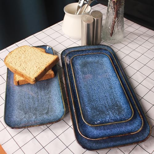 Porcelain Plate Set Large Serving Tray Set of 4, Reusable Serving