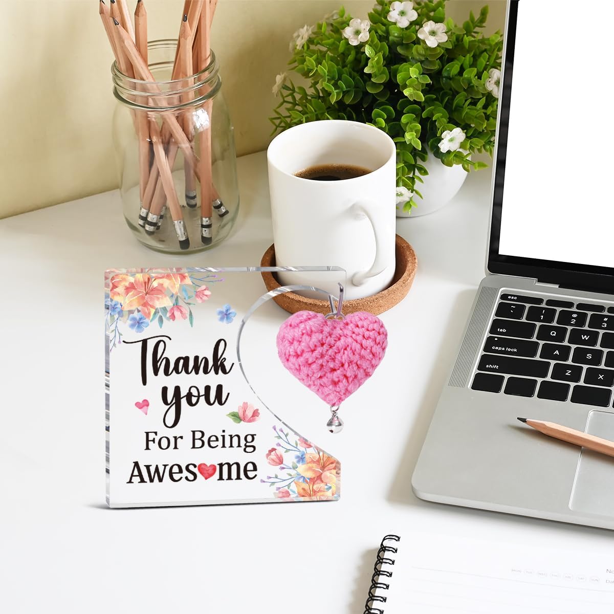 Thank You Gifts For Women Coworkers,Thank You For Being Awesome Appreciatioan Acrylic Plaque Gifts For Employees Boss Colleague