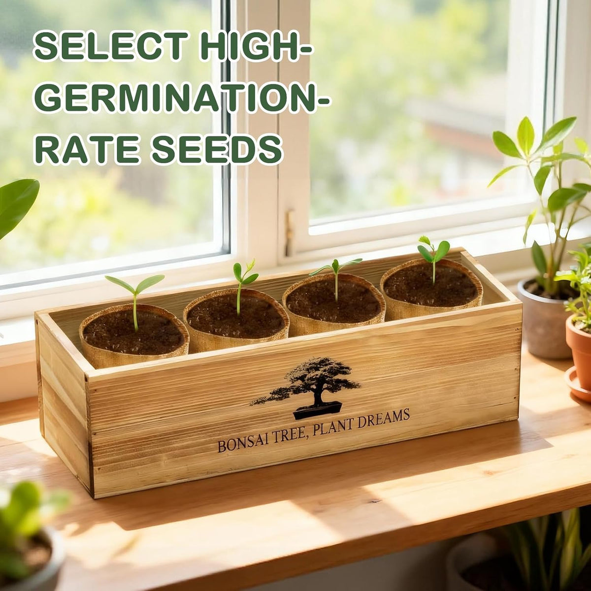 LUOJIBIE Bonsai Tree Kit, Bonsai Tree Starter Growing Kit, Unique Birthday Gifts for Women Men Mom Dad Girls Boys, House Warming Gifts New Home, Gardening Anniversary Wedding Gift, Crafts Hobby Kits