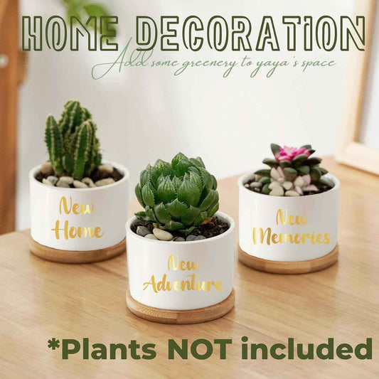 InnoBeta House Warming Gifts Succulent Plant Pots 3pcs, Gifts for House Warming, Planter Pot with Bamboo Tray for New Home, Plants NOT Included