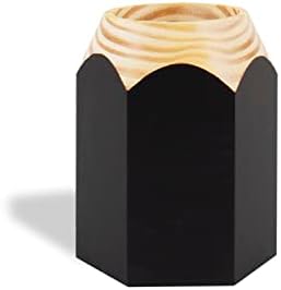 GEGUTON Sharpener Shaped Pen Holder, Black, Retro Design