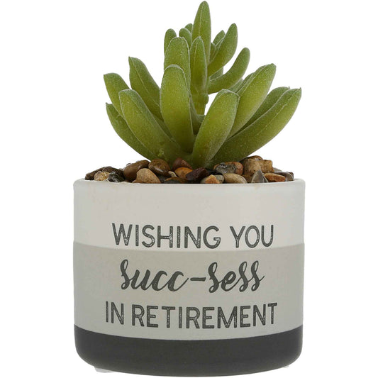 Pavilion Succ-ess Retirement Faux Succulent