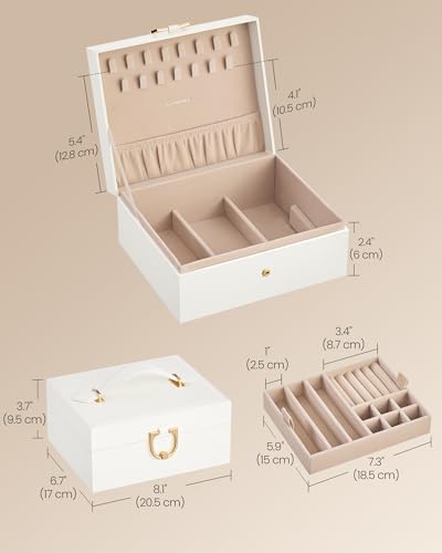 SONGMICS 2-Layer Jewelry Box, Jewelry Organizer with Handle, Removable