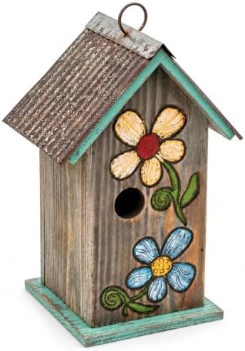Topadorn Hanging Bird House for Outside, 11" Hand-Painted Wooden