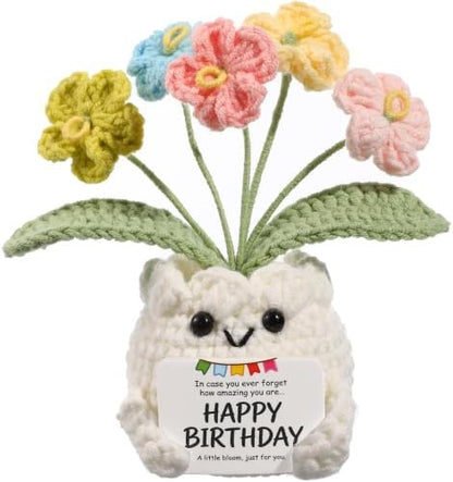Crochet Forget Me Not Flower Pot Birthday Gifts for Women