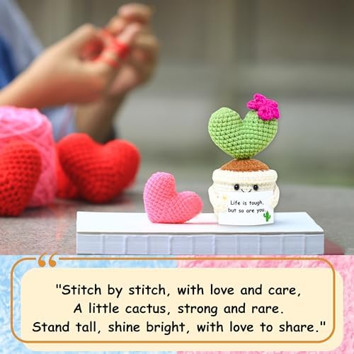 Get Well Gifts for Women, Handmade Crochet Cactus Plant