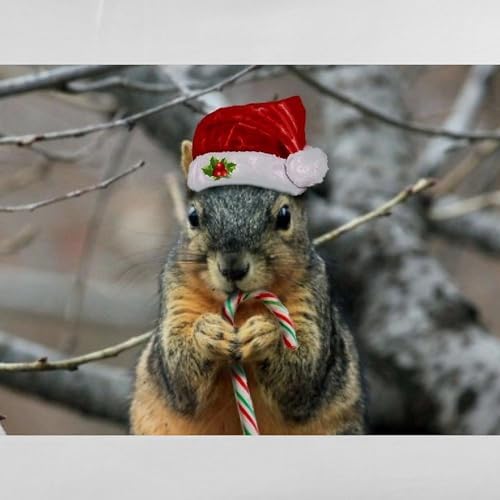 CafePress Christmas Squirrel Pillow Sham, 20" x 30"