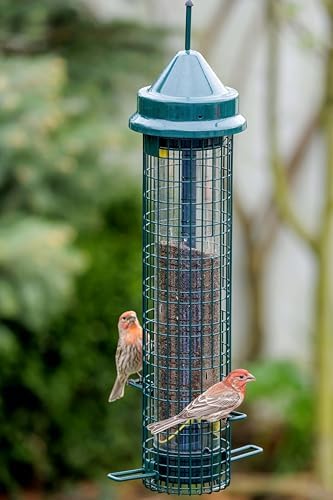 Squirrel Buster® Nyjer® Truly Squirrel-Proof Nyjer®/Thistle Feeder