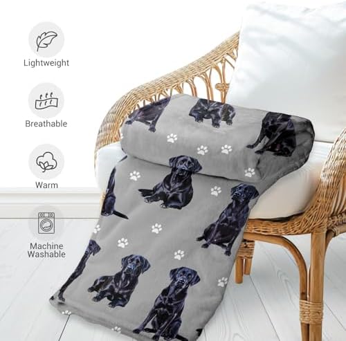 Jekeno Labrador Retriever Gifts Blanket, Black Lab Dog Decor 50"x60"