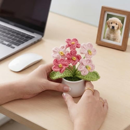 Crochet Flower Potted Handmade Knitted Flower Plant