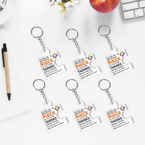 Team Appreciation Gifts Bulk Thank You Keychains for Coworkers