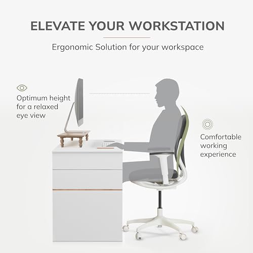 Anji Mountain Monitor Stand for Desk - Desktop Organizer & Laptop