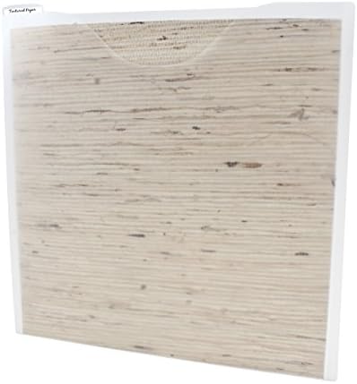 Storage Studios Paper File 3-Pack, 12.75 x 12.95 x 0.13 Inches, Clear