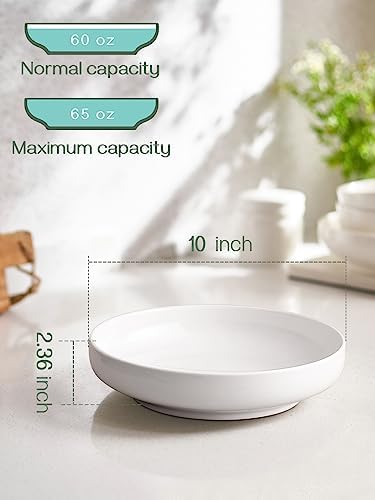 DOWAN Pasta Bowls, 65 oz Large Salad Bowls Set of 2, 10'' Serving
