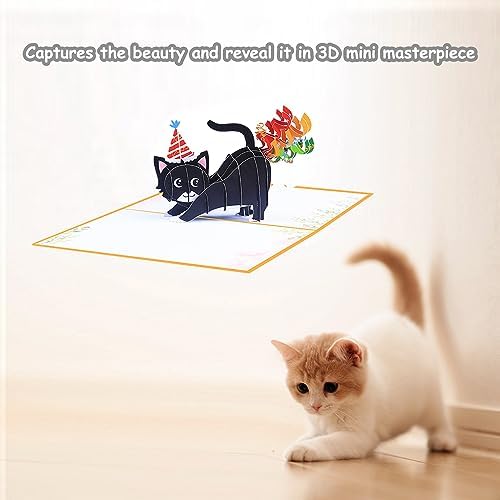 ROBBEAR Funny Cat Pop Up Birthday Card, Funny 3D Birthday Cards for