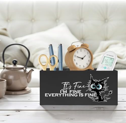 Funny Cute Black Cat Pencil Pen Holder for Desk, I'm Fine Everything