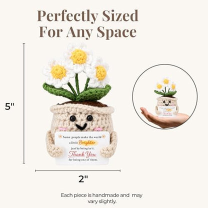 Thank You Gifts for Women, Crochet Daisy Appreciation Gift, Handmade
