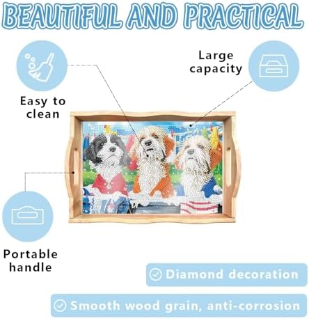 DOTSOPS DIY Diamond Painting Serving Tray with Handle for Adults 5D