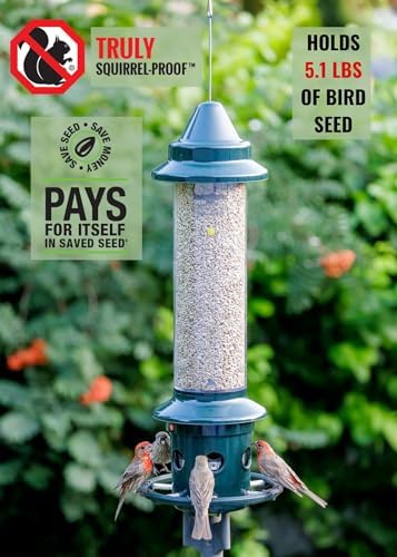 Squirrel Buster Plus Squirrel-proof Bird Feeder w/Cardinal Ring and 6