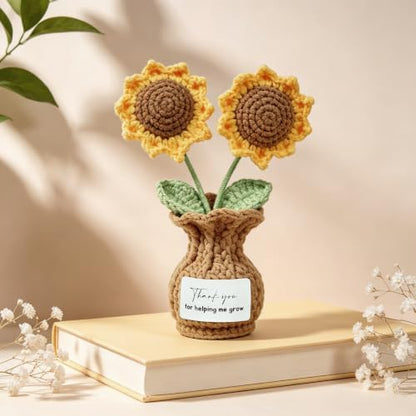 Teacher Appreciation Gifts for Women Best Teacher Gifts Teacher's Day