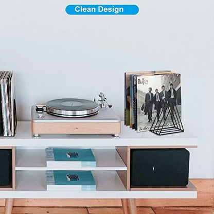 EASEPRES Vinyl Record Holder Storage, 9 Slot Metal Magazine Book Album