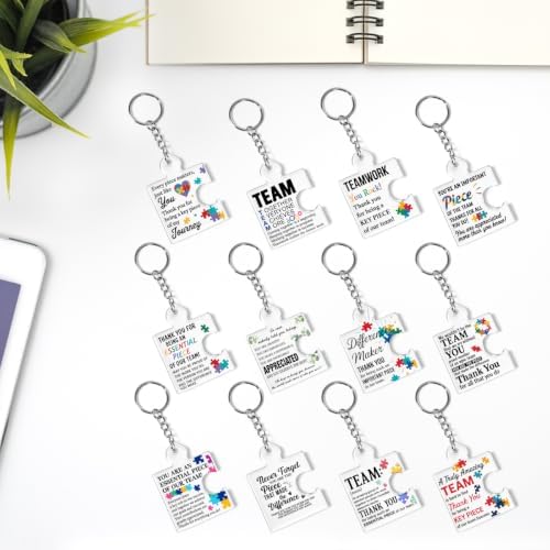 Team Appreciation Gifts Bulk for Coworkers Employee Staff Keychains