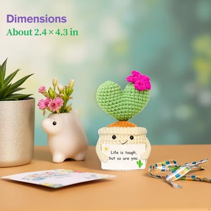 Get Well Gifts for Women, Handmade Crochet Cactus Plant