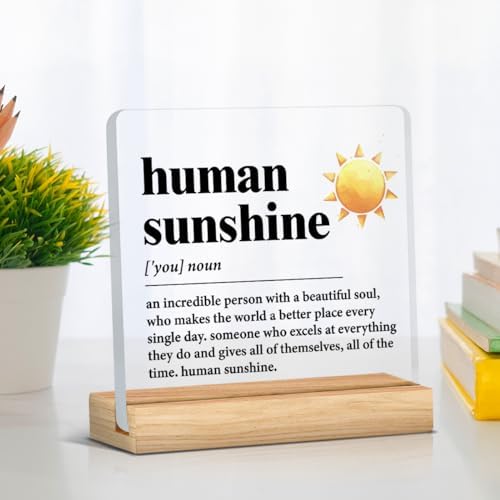 Human Sunshine Motivational Gift for Women Men, Employee Appreciation