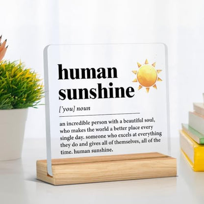 Human Sunshine Motivational Gift for Women Men, Employee Appreciation