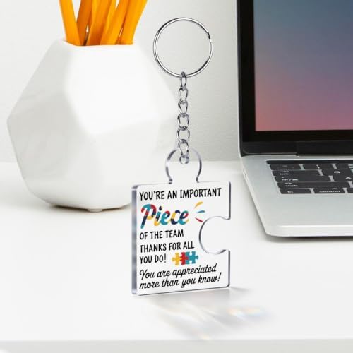 Team Appreciation Gifts Bulk for Coworkers Employee Staff Keychains