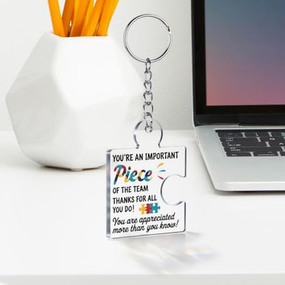 Team Appreciation Gifts Bulk for Coworkers Employee Staff Keychains
