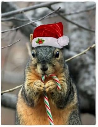 CafePress Christmas Squirrel Twin Duvet Cover, Printed Comforter