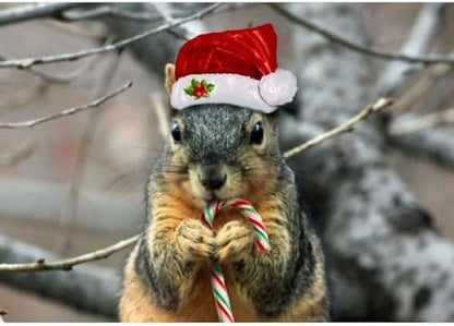 CafePress Christmas Squirrel Scroll Holiday Ornament 4" x 2.75"
