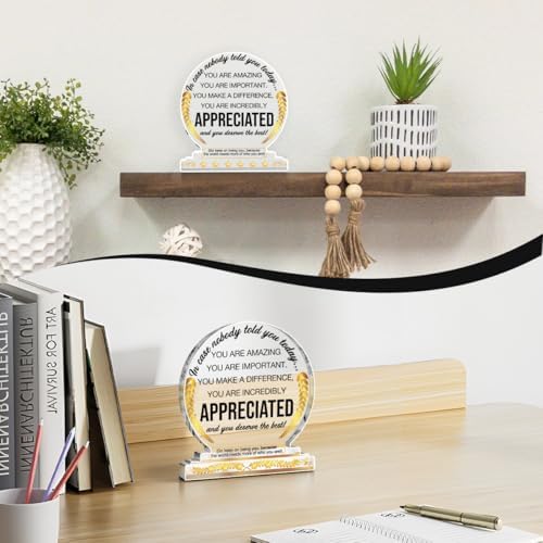 Appreciation Gifts Thank You Award Desk Decor for Coworkers Boss