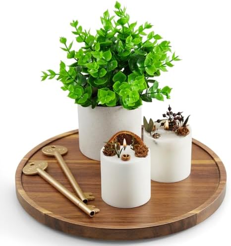 10 Inch Acacia Wood Round Tray, Wooden Decorative Coffee Table Tray