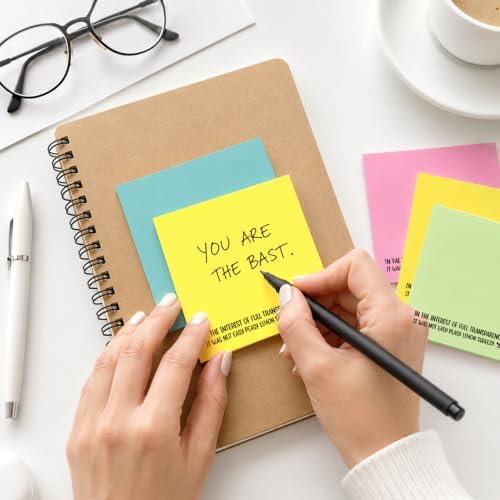 Funny 4 Pads in The Interest of Full Transparenc Raccoon Sticky Notes