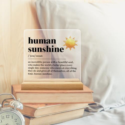 Human Sunshine Motivational Gift for Women Men, Employee Appreciation
