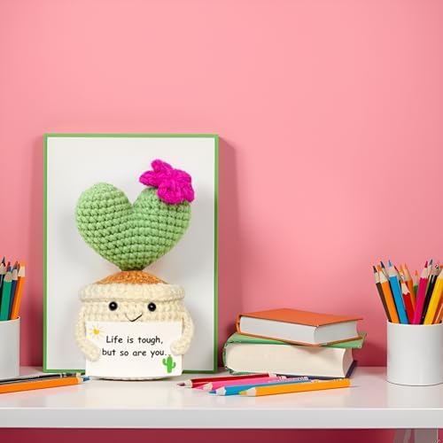 Get Well Gifts for Women, Handmade Crochet Cactus Plant