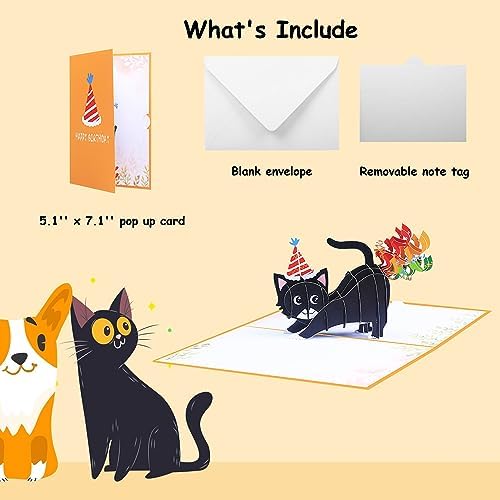 ROBBEAR Funny Cat Pop Up Birthday Card, Funny 3D Birthday Cards for