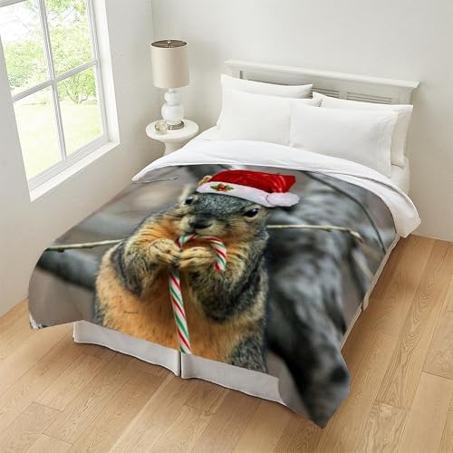 CafePress Christmas Squirrel Queen Duvet Cover, Printed Comforter